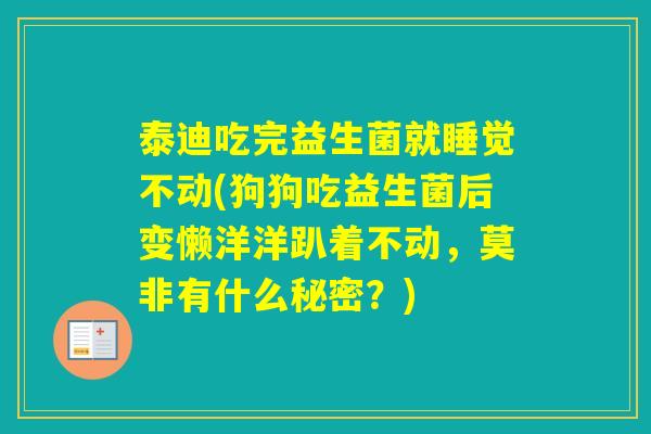 泰迪吃完益生菌就睡觉不动(狗狗吃益生菌后变懒洋洋趴着不动，莫非有什么秘密？)