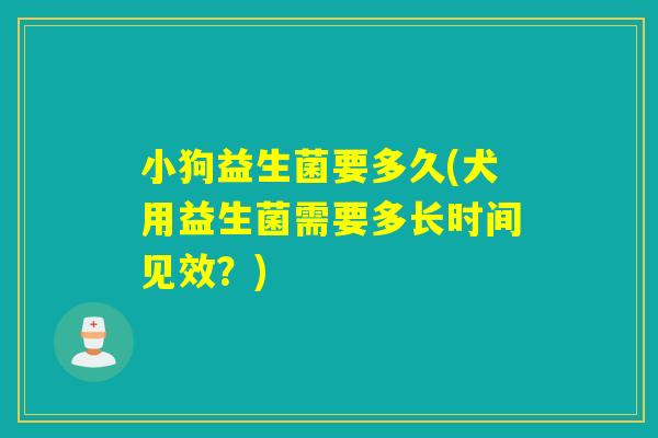 小狗益生菌要多久(犬用益生菌需要多长时间见效？)