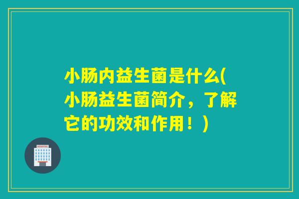 小肠内益生菌是什么(小肠益生菌简介，了解它的功效和作用！)