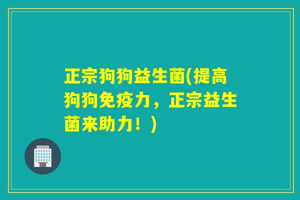 正宗狗狗益生菌(提高狗狗力，正宗益生菌来助力！)