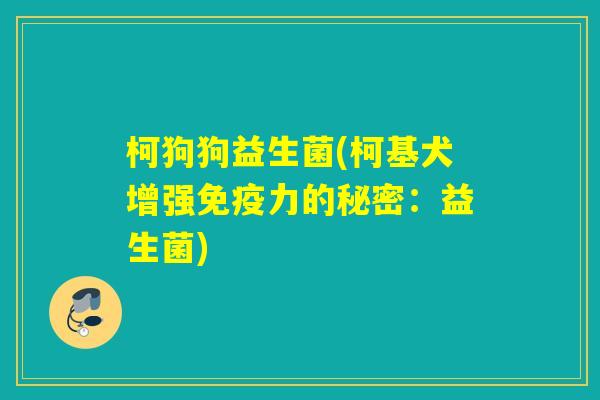 柯狗狗益生菌(柯基犬增强力的秘密：益生菌)