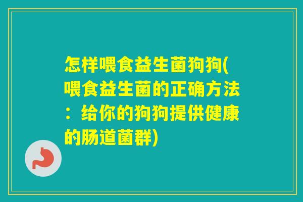 怎样喂食益生菌狗狗(喂食益生菌的正确方法:给你的狗狗提供健康的肠道菌群) 怎样喂食益生菌狗狗(喂食益生菌的正确方法:给你的狗狗提供健康的肠道菌群)