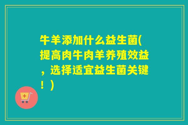 牛羊添加什么益生菌(提高肉牛肉羊养殖效益,选择适宜益生菌关键!) 牛羊添加什么益生菌(提高肉牛肉羊养殖效益,选择适宜益生菌关键!)
