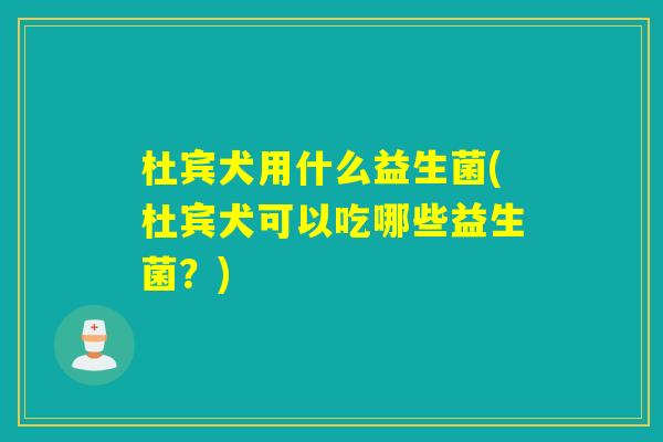杜宾犬用什么益生菌(杜宾犬可以吃哪些益生菌?) 杜宾犬用什么益生菌(杜宾犬可以吃哪些益生菌?)