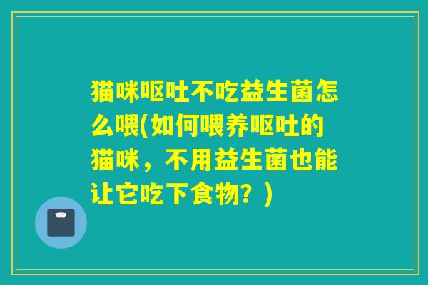 猫咪不吃益生菌怎么喂(如何喂养的猫咪，不用益生菌也能让它吃下食物？)