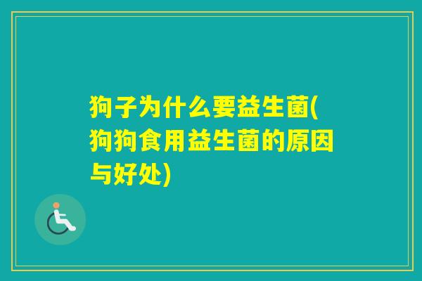 狗子为什么要益生菌(狗狗食用益生菌的原因与好处)