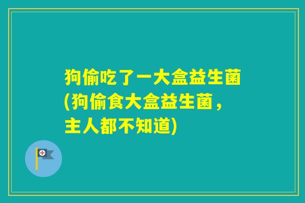 狗偷吃了一大盒益生菌(狗偷食大盒益生菌,主人都不知道) 狗偷吃了一大盒益生菌(狗偷食大盒益生菌,主人都不知道)