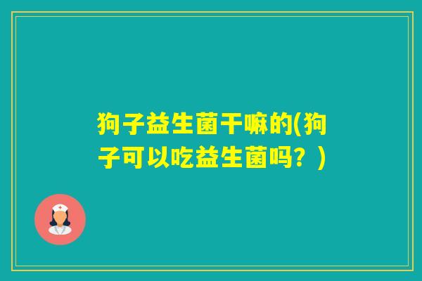 狗子益生菌干嘛的(狗子可以吃益生菌吗?) 狗子益生菌干嘛的(狗子可以吃益生菌吗?)