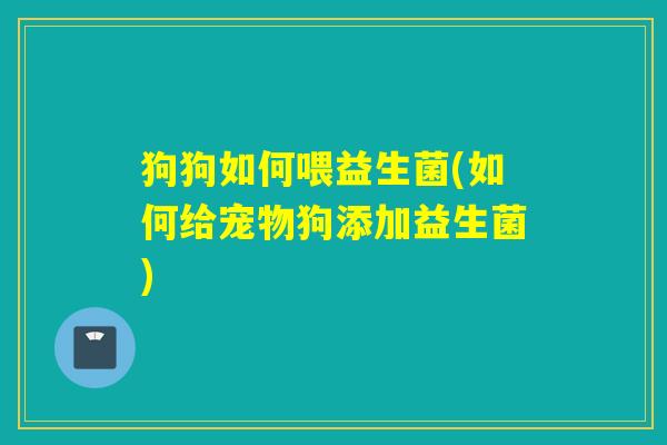 狗狗如何喂益生菌(如何给宠物狗添加益生菌)