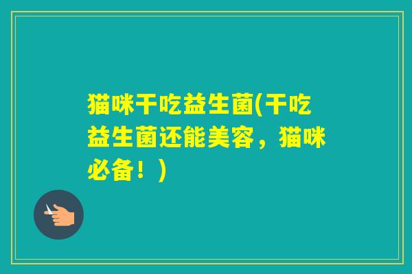 猫咪干吃益生菌(干吃益生菌还能美容,猫咪必备!) 猫咪干吃益生菌(干吃益生菌还能美容,猫咪必备!)