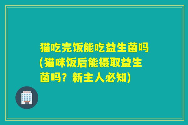 猫吃完饭能吃益生菌吗(猫咪饭后能摄取益生菌吗？新主人必知)