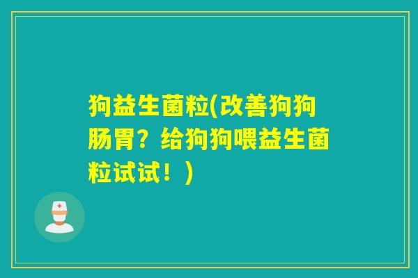 狗益生菌粒(改善狗狗肠胃?给狗狗喂益生菌粒试试!) 狗益生菌粒(改善狗狗肠胃?给狗狗喂益生菌粒试试!)