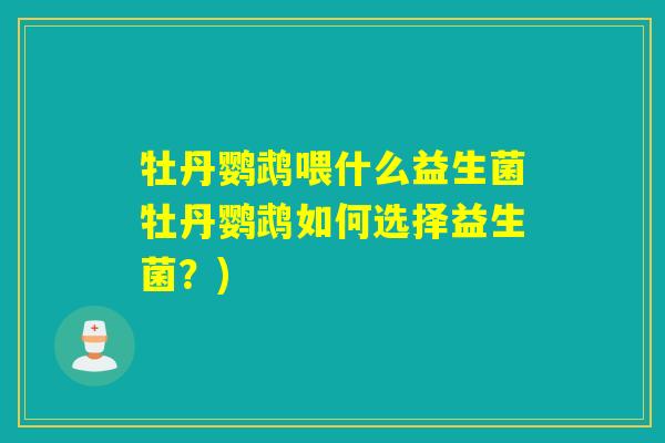 牡丹鹦鹉喂什么益生菌牡丹鹦鹉如何选择益生菌?) 牡丹鹦鹉喂什么益生菌牡丹鹦鹉如何选择益生菌?)