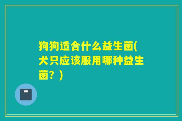狗狗适合什么益生菌(犬只应该服用哪种益生菌?) 狗狗适合什么益生菌(犬只应该服用哪种益生菌?)