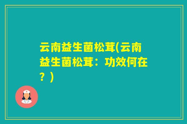 云南益生菌松茸(云南益生菌松茸:功效何在?) 云南益生菌松茸(云南益生菌松茸:功效何在?)