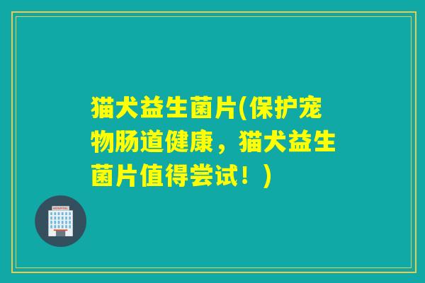 猫犬益生菌片(保护宠物肠道健康,猫犬益生菌片值得尝试!) 猫犬益生菌片(保护宠物肠道健康,猫犬益生菌片值得尝试!)