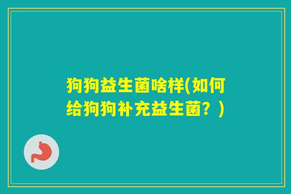 狗狗益生菌啥样(如何给狗狗补充益生菌？)