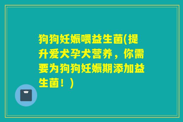 狗狗妊娠喂益生菌(提升爱犬孕犬营养，你需要为狗狗妊娠期添加益生菌！)