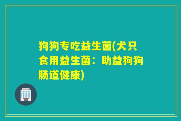 狗狗专吃益生菌(犬只食用益生菌:助益狗狗肠道健康) 狗狗专吃益生菌(犬只食用益生菌:助益狗狗肠道健康)