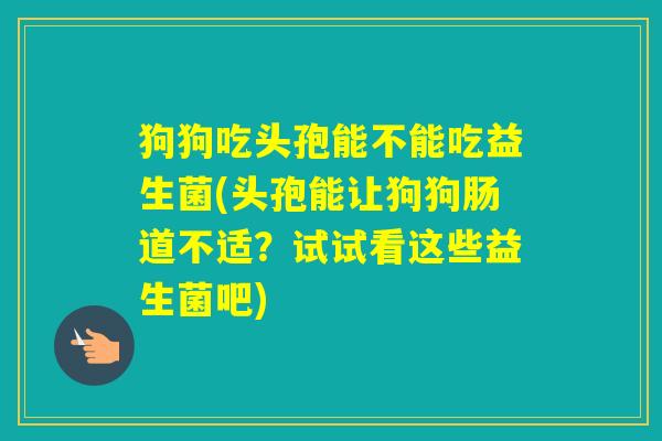 狗狗吃头孢能不能吃益生菌(头孢能让狗狗肠道不适？试试看这些益生菌吧)