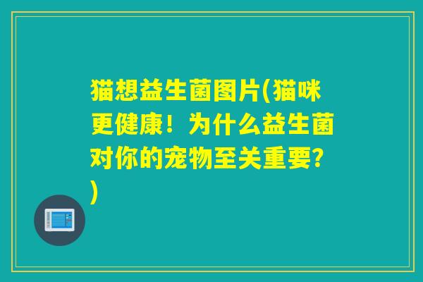 猫想益生菌图片(猫咪更健康！为什么益生菌对你的宠物至关重要？)
