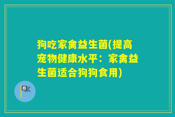 狗吃家禽益生菌(提高宠物健康水平:家禽益生菌适合狗狗食用) 狗吃家禽益生菌(提高宠物健康水平:家禽益生菌适合狗狗食用)