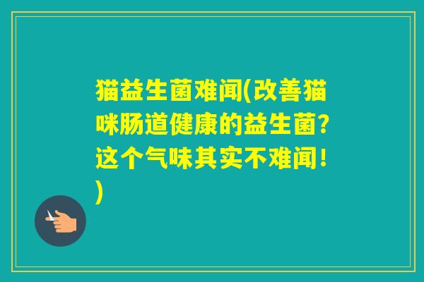 猫益生菌难闻(改善猫咪肠道健康的益生菌？这个气味其实不难闻！)