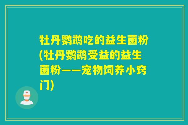 牡丹鹦鹉吃的益生菌粉(牡丹鹦鹉受益的益生菌粉——宠物饲养小窍门) 牡丹鹦鹉吃的益生菌粉(牡丹鹦鹉受益的益生菌粉——宠物饲养小窍门)