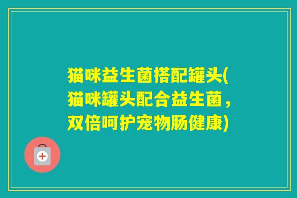 猫咪益生菌搭配罐头(猫咪罐头配合益生菌，双倍呵护宠物肠健康)