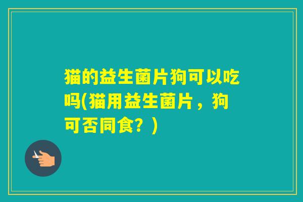 猫的益生菌片狗可以吃吗(猫用益生菌片，狗可否同食？)