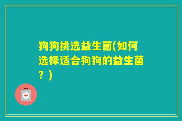 狗狗挑选益生菌(如何选择适合狗狗的益生菌？)