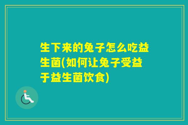 生下来的兔子怎么吃益生菌(如何让兔子受益于益生菌饮食) 生下来的兔子怎么吃益生菌(如何让兔子受益于益生菌饮食)
