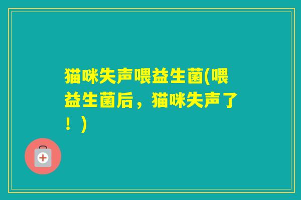 猫咪失声喂益生菌(喂益生菌后,猫咪失声了!) 猫咪失声喂益生菌(喂益生菌后,猫咪失声了!)