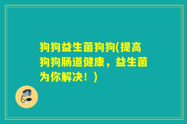 狗狗益生菌狗狗(提高狗狗肠道健康,益生菌为你解决!) 狗狗益生菌狗狗(提高狗狗肠道健康,益生菌为你解决!)