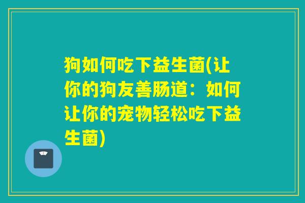 狗如何吃下益生菌(让你的狗友善肠道：如何让你的宠物轻松吃下益生菌)
