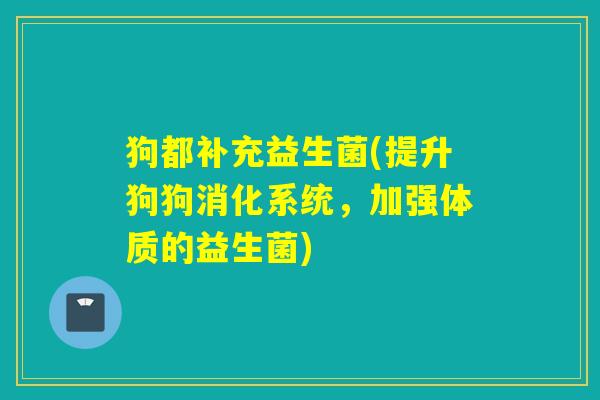 狗都补充益生菌(提升狗狗消化系统，加强体质的益生菌)