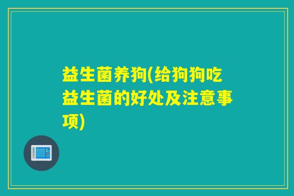 益生菌养狗(给狗狗吃益生菌的好处及注意事项)