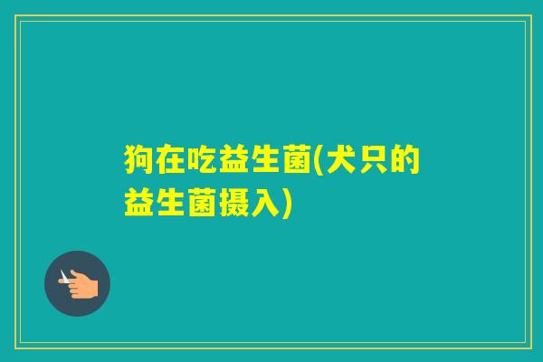 狗在吃益生菌(犬只的益生菌摄入) 狗在吃益生菌(犬只的益生菌摄入)