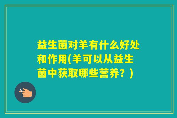 益生菌对羊有什么好处和作用(羊可以从益生菌中获取哪些营养？)