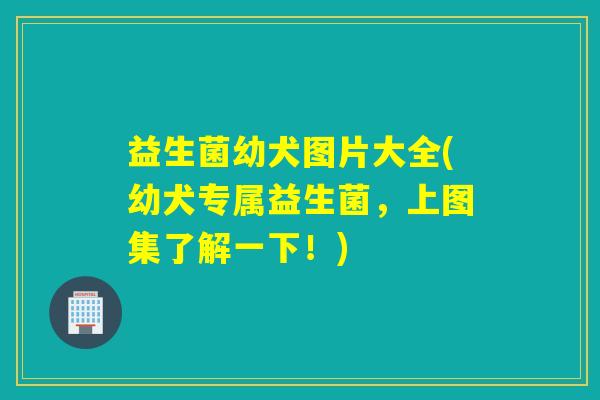 益生菌幼犬图片大全(幼犬专属益生菌，上图集了解一下！)
