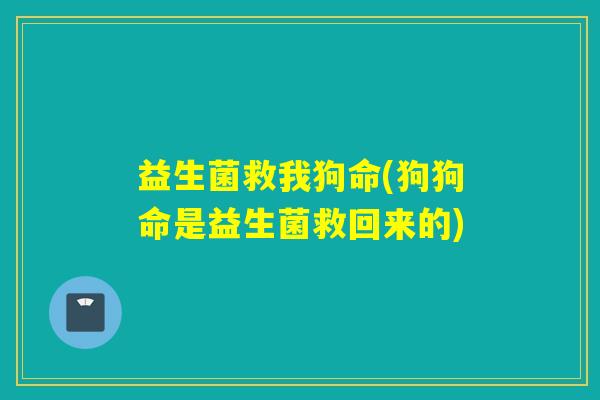 益生菌救我狗命(狗狗命是益生菌救回来的) 益生菌救我狗命(狗狗命是益生菌救回来的)