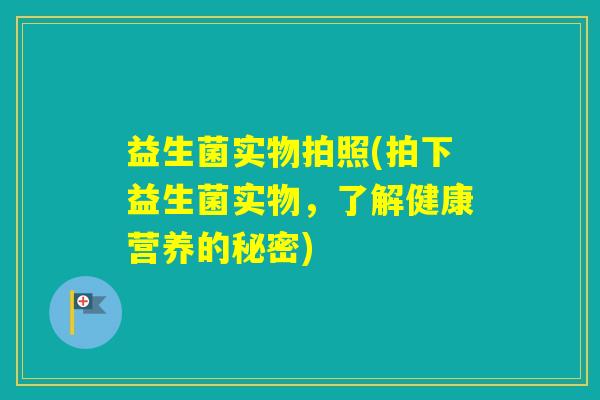 益生菌实物拍照(拍下益生菌实物,了解健康营养的秘密) 益生菌实物拍照(拍下益生菌实物,了解健康营养的秘密)