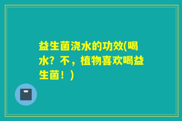 益生菌浇水的功效(喝水？不，植物喜欢喝益生菌！)