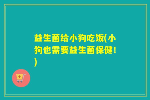益生菌给小狗吃饭(小狗也需要益生菌保健！)