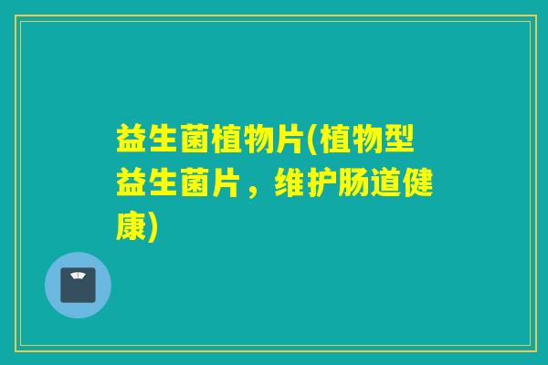 益生菌植物片(植物型益生菌片，维护肠道健康)