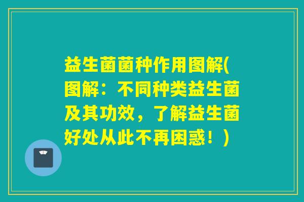 益生菌菌种作用图解(图解：不同种类益生菌及其功效，了解益生菌好处从此不再困惑！)