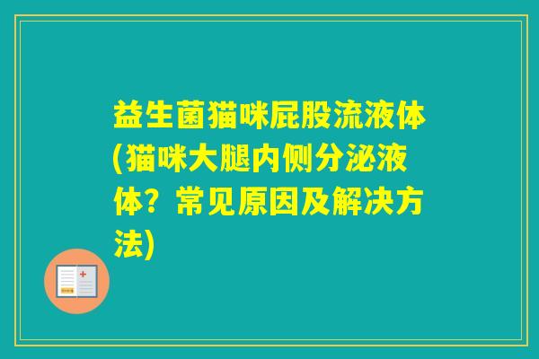 益生菌猫咪屁股流液体(猫咪大腿内侧分泌液体？常见原因及解决方法)