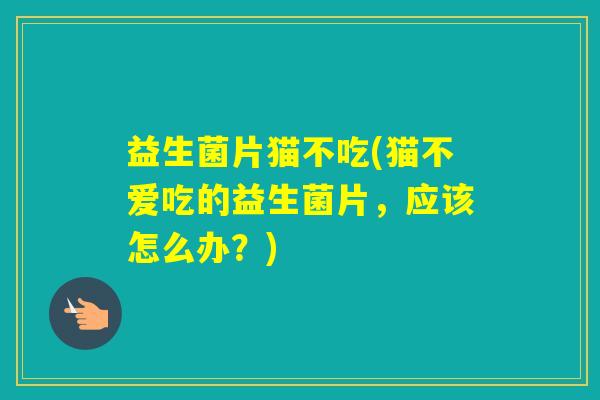 益生菌片猫不吃(猫不爱吃的益生菌片，应该怎么办？)