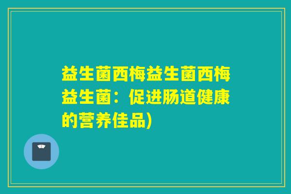 益生菌西梅益生菌西梅益生菌：促进肠道健康的营养佳品)