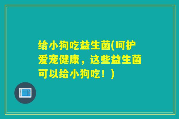 给小狗吃益生菌(呵护爱宠健康，这些益生菌可以给小狗吃！)